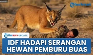 Pemburu Binatang Buas