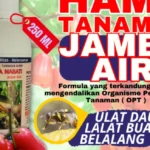 pestisida dari jambu