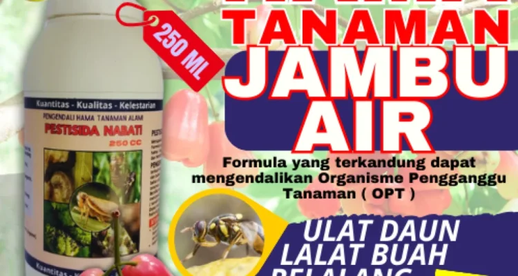pestisida dari jambu