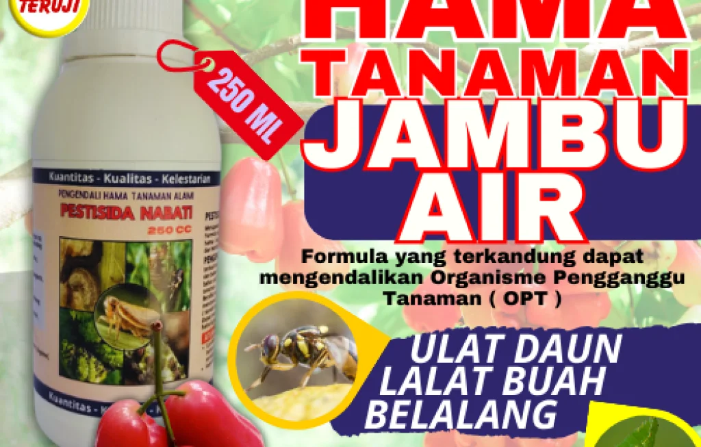 pestisida dari jambu