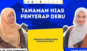 spesies tanaman baru
