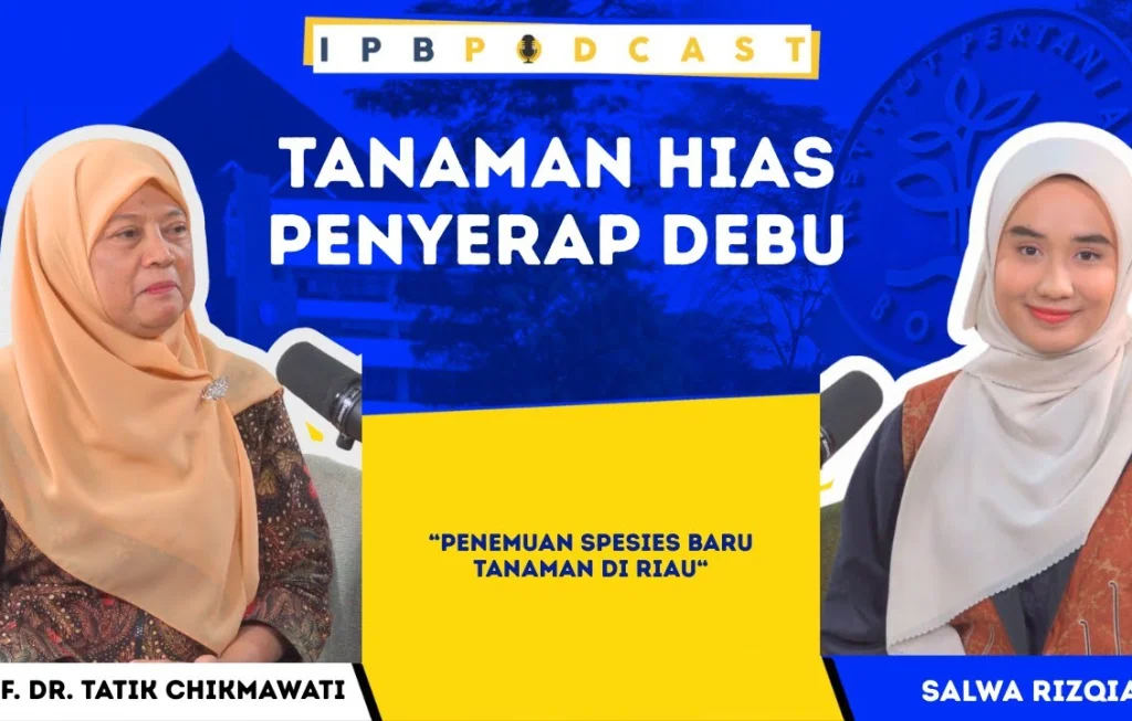 Tanaman Hias Tatik Chikmawati