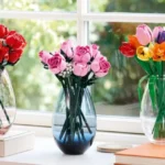 tanaman karnivora hias