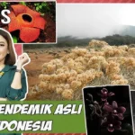 tumbuhan asli Indonesia
