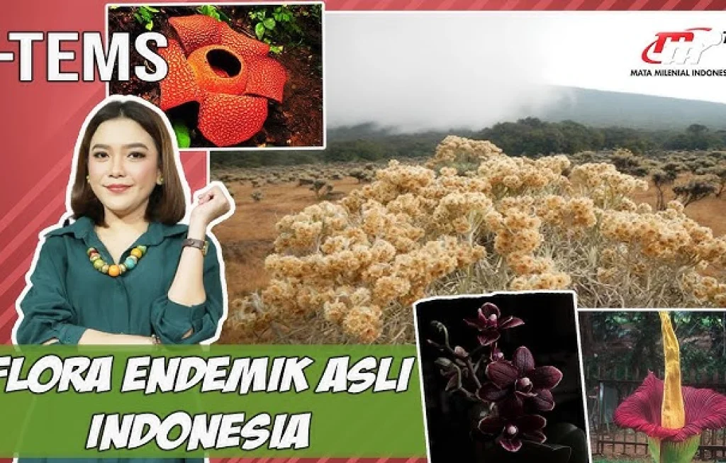 tumbuhan asli Indonesia