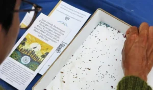 tumbuhan baru Indonesia