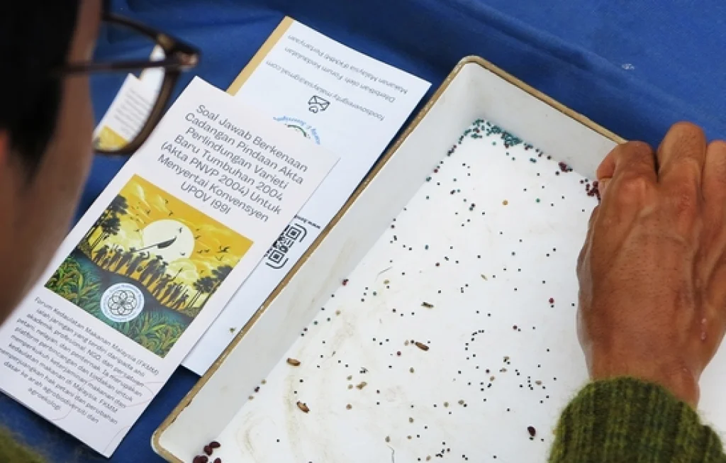 tumbuhan baru Indonesia