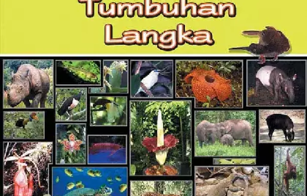 tumbuhan langka dilindungi