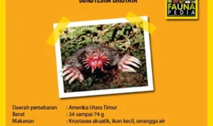 22 Tentakel di Hidung