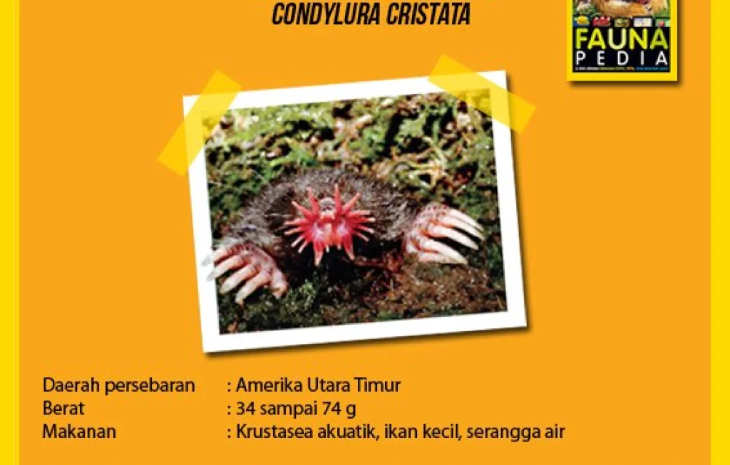 22 Tentakel di Hidung