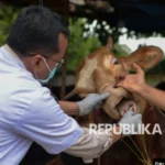 Hewan Deteksi Badai