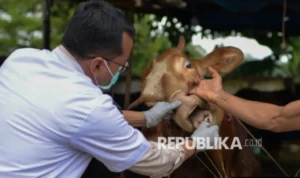 Hewan Deteksi Badai