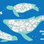 hewan laut makan plastik