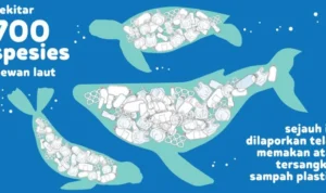 hewan laut makan plastik