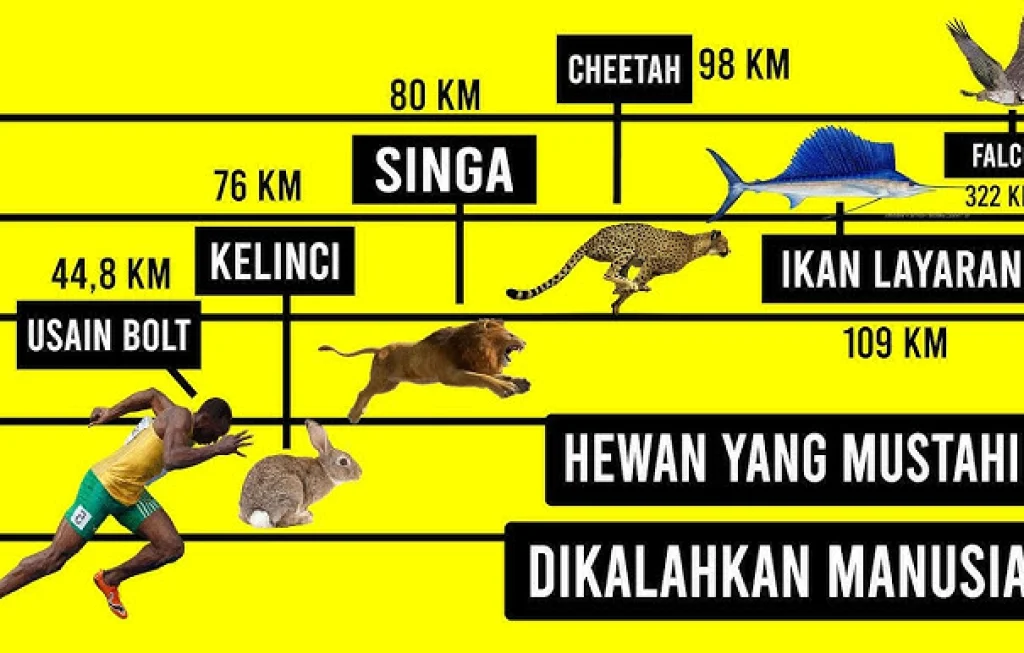 hewan tercepat dunia