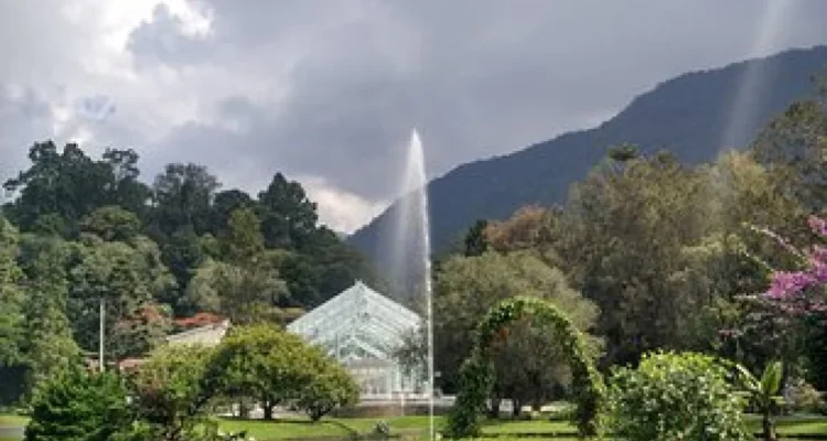 Kebun Raya Cibodas Cianjur