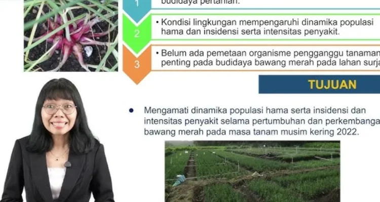 komoditas pengganggu tumbuhan