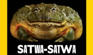 Kompetisi Inovasi Satwa Liar