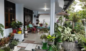 Tanaman hias di rumah