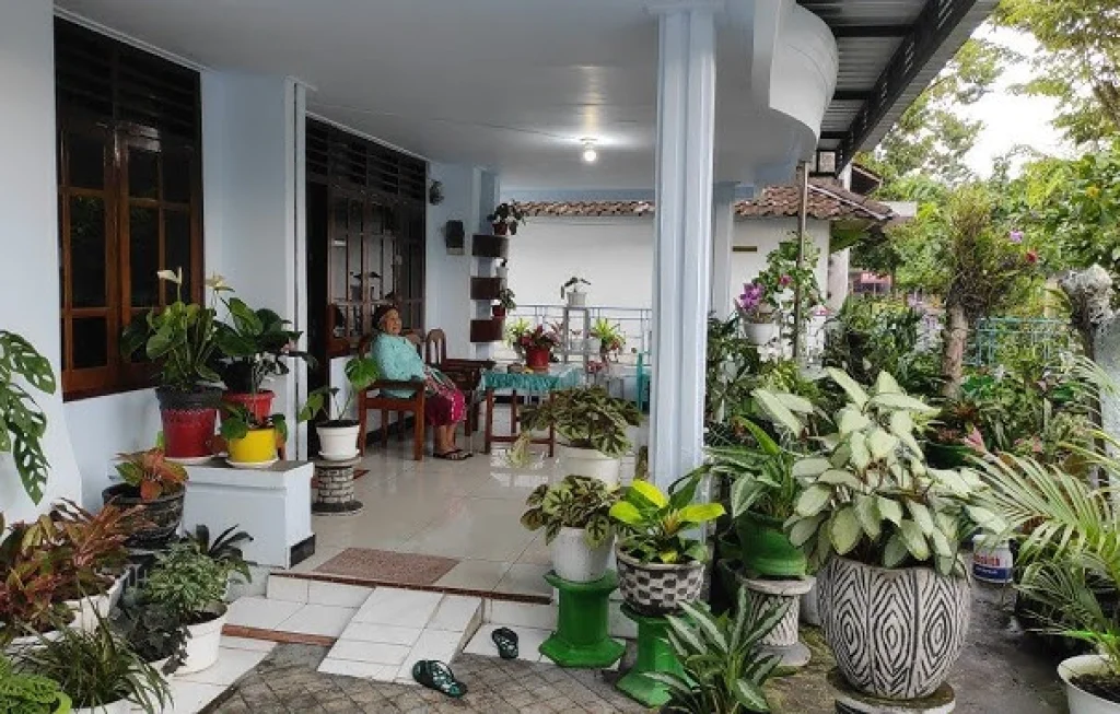 Tanaman hias di rumah