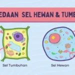 tumbuhan dan hewan biru