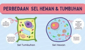 tumbuhan dan hewan biru
