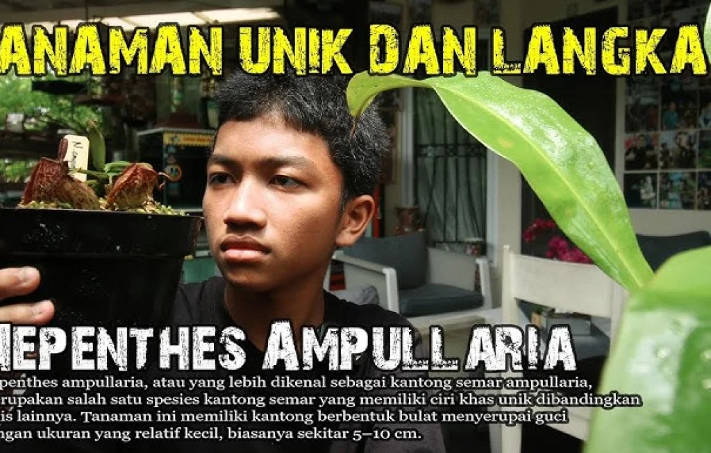 tumbuhan khas langka