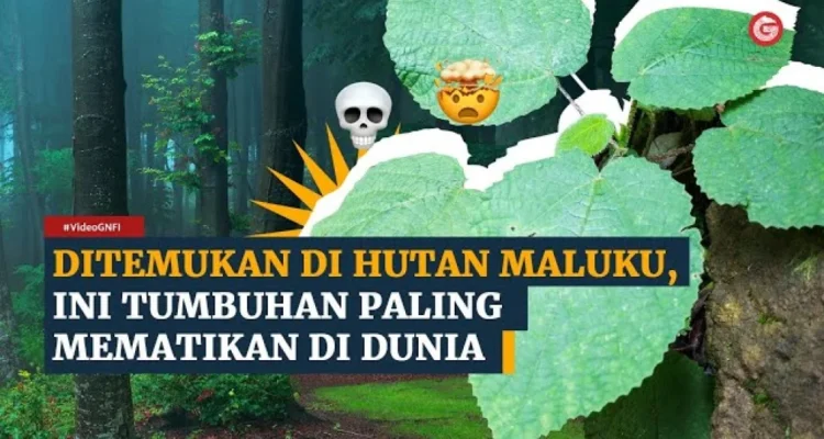 tumbuhan paling berbahaya dunia