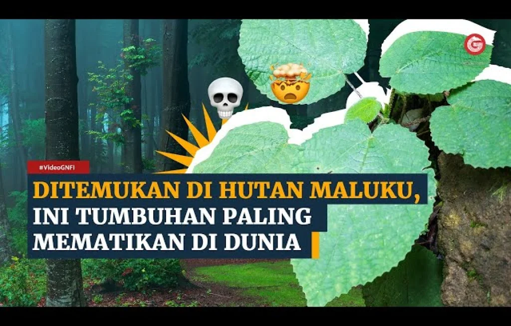 tumbuhan paling berbahaya dunia